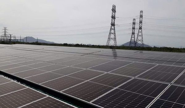 NET ZERO - Hành trình chuyển dịch năng lượng xanh.