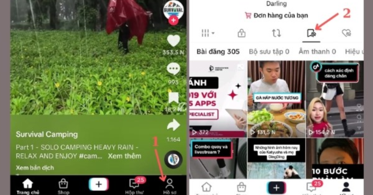 Cách xem lại video đã lưu vào bộ sưu tập trên TikTok