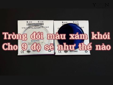 Review Tròng Đổi Màu Xám Khói Nottica 9 Độ 1.67