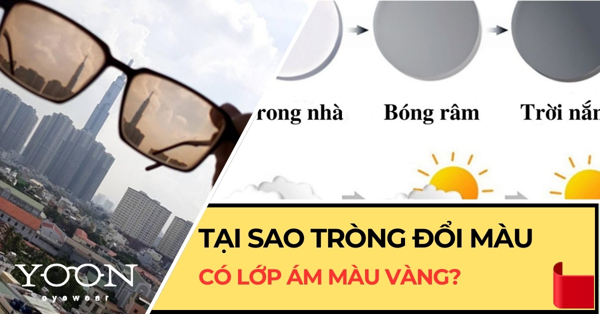 Tại Sao Tròng Đổi Màu Thường Có Ám Màu Vàng Trên Tròng Kính? Lý Do?