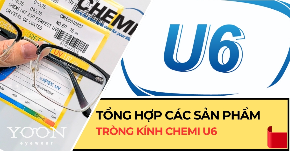 Tổng Hợp Các Sản Phẩm Tròng Kính Chemi U6