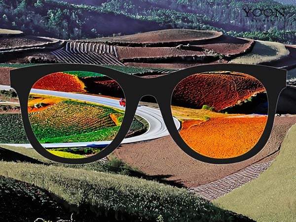 Kính Chống Mù Màu Là Gì? Những Lưu Ý Khi Sử Dụng Kính Chống Mù Màu – Yoon