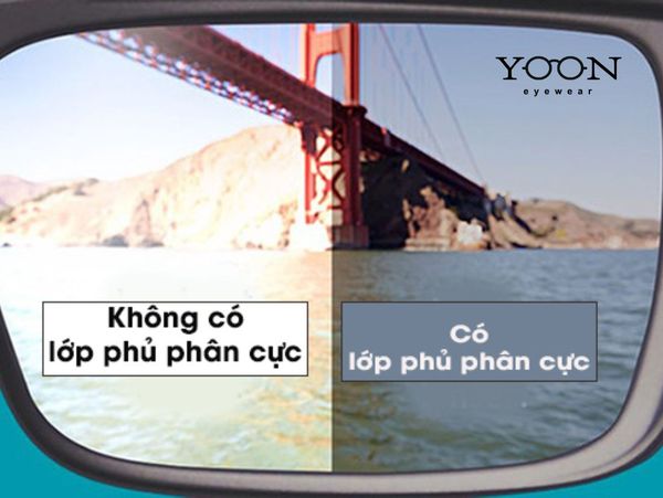 Lớp Phủ Phân Cực (Polarized)