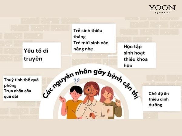NGUYÊN NHÂN GÂY RA BỆNH CẬN THỊ?