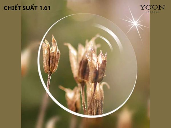 TRÒNG KÍNH&nbsp;CHIẾT SUẤT 1.61 LÀ GÌ?