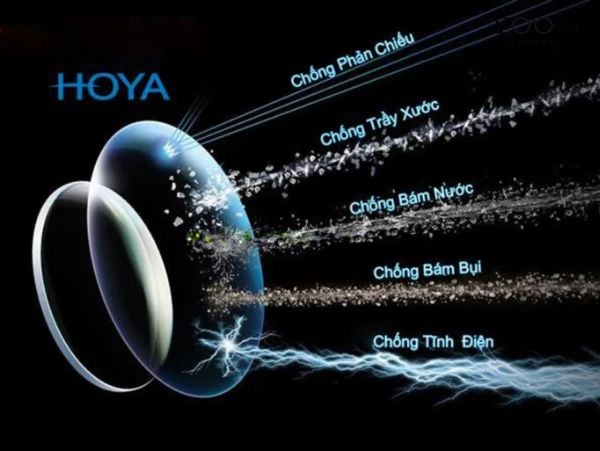 ƯU ĐIỂM TRÒNG HOYA