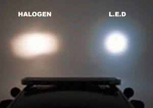 Nên chọn loại đèn nào cho kính hiển vi đèn led hay đèn halogen ?
