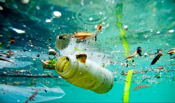 Ô Nhiễm Môi Trường Nước: Thực Trạng Và Hệ Lụy Khôn Lường