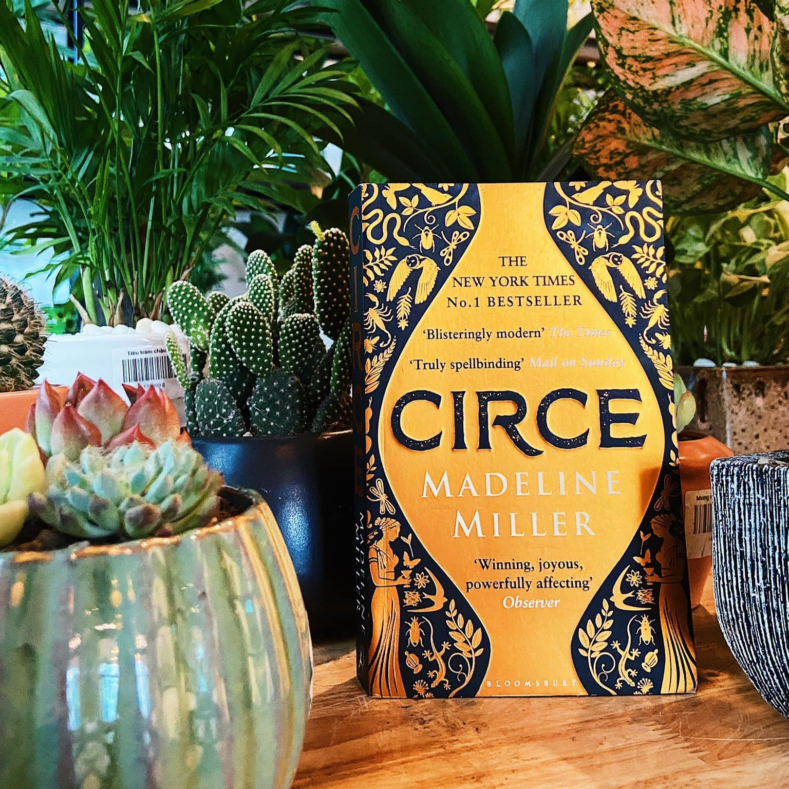 Circe - Madeline Miller - Review Sách