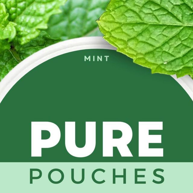Find Out the Top 10 Nicotine Pouches for Flavor Lovers