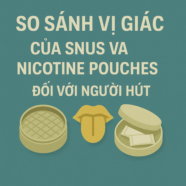 So sánh vị giác của snus và nicotine pouches đối với người hút