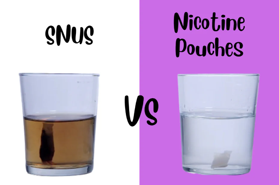 Lựa Chọn Giữa Snus và Nicotine Pouches: Đâu Là Sản Phẩm Dành Cho Bạn?