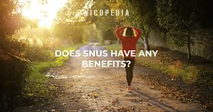 Phân Tích Ưu Nhược Điểm Của Snus và Nicotine Pouches: Lựa Chọn Nào Phù Hợp Với Bạn?