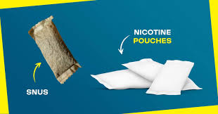 Phân Biệt Snus và Nicotine Pouches: 7 Khác Biệt Cốt Lõi Bạn Cần Biết Trước Khi Chọn