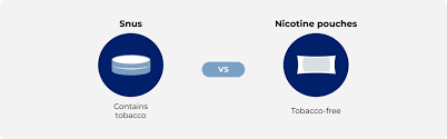 Snus vs. Nicotine Pouches: Hướng Dẫn Toàn Diện Giúp Bạn Lựa Chọn Thông Minh