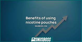 Nicotine Pouches: Làn Gió Mới Thay Thế Thuốc Lá?