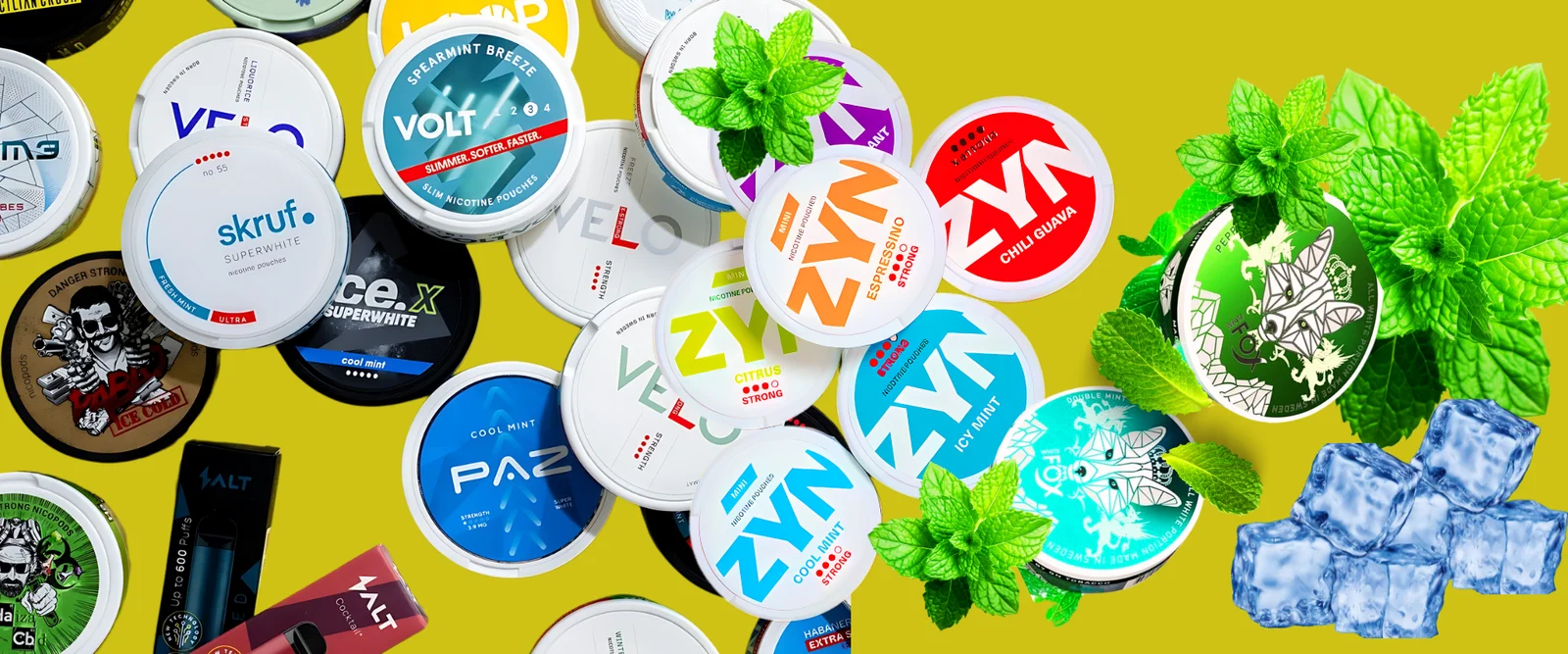 Maximizing Your Enjoyment with Various Nicotine Pouch Flavors: Secrets to Elevating Your Taste Experience