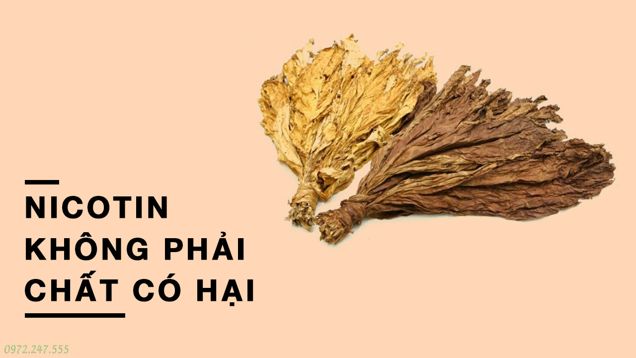 So Sánh Nicotine Pouches và Thuốc Lá Truyền Thống: Đâu Là Sự Lựa Chọn Ít Tác Hại Hơn?