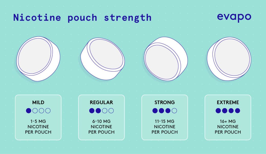 Cách Chọn Nicotine Pouches Phù Hợp Với Nhu Cầu Cá Nhân