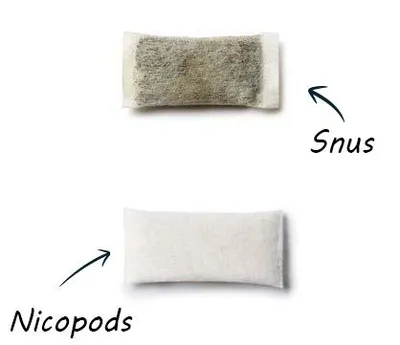 So Sánh Toàn Diện Snus và Nicotine Pouches: Đâu Là Lựa Chọn Ít Gây Hại Hơn Cho Sức Khỏe?