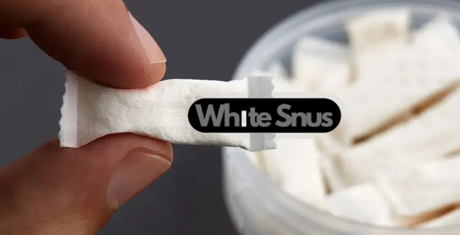 Mua Snus/ Nicotine Pouches Sỉ Giá Rẻ – Chính Hãng, Chất Lượng Cao Cho Người Cai Thuốc Lá
