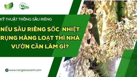 Khám Phá Những Lợi Ích Tuyệt Vời Của Eu9.ong Trong Cuộc Sống Hàng Ngày