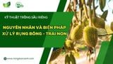Nguyên Nhân Và Biện Pháp Xử Lý RỤNG BÔNG - TRÁI NON SẦU RIÊNG
