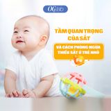 Tầm quan trọng của sắt và cách phòng ngừa thiếu sắt ở trẻ nhỏ