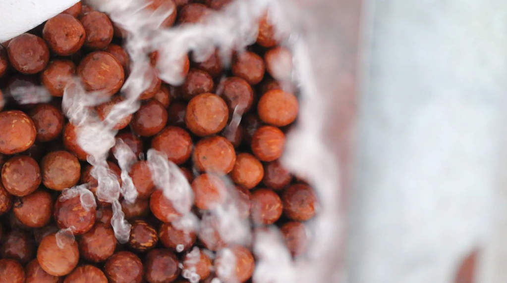 Hạt macca được sản xuất như thế nào?