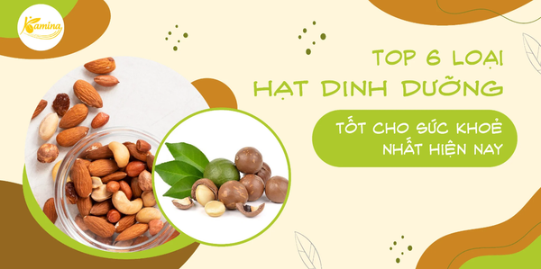 Top 6 Loại Hạt Dinh Dưỡng Tốt Cho Sức Khỏe Nhất Hiện Nay