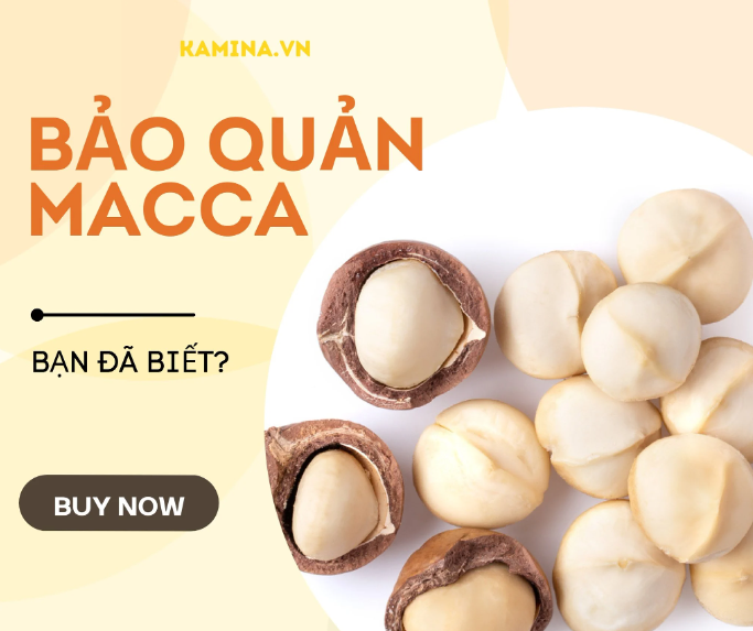 Cách bảo quản hạt macca như thế nào?