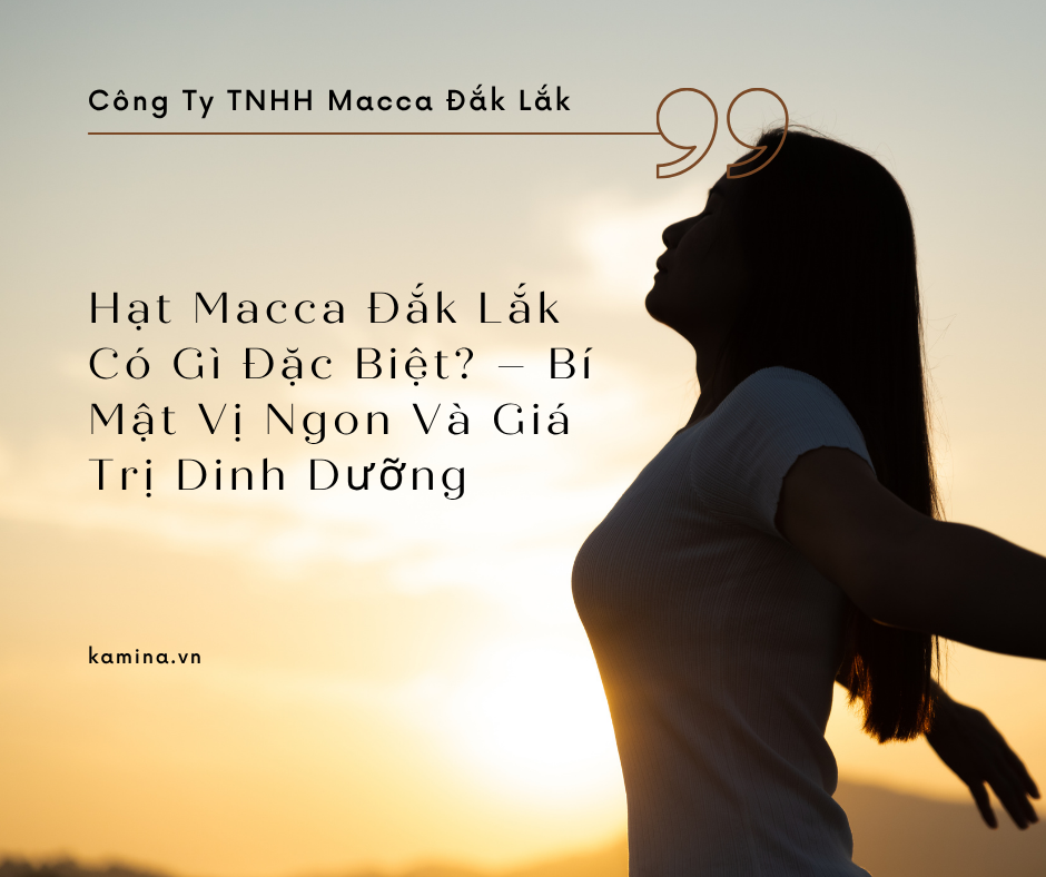 Hạt Macca Đắk Lắk Có Gì Đặc Biệt? – Bí Mật Vị Ngon Và Giá Trị Dinh Dưỡng