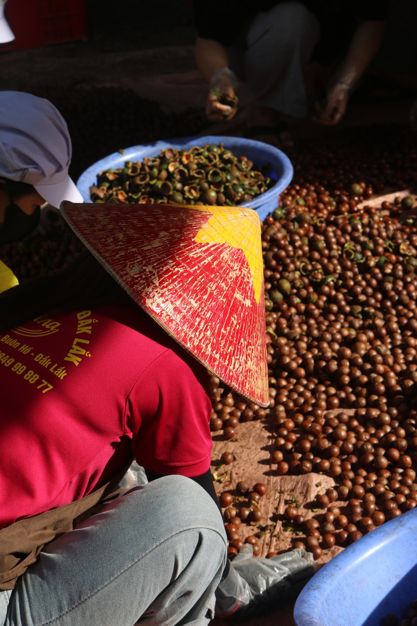 HÀNH TRÌNH HẠT MACCA TỪ VƯỜN ĐẾN BÀN ĂN KAMINA