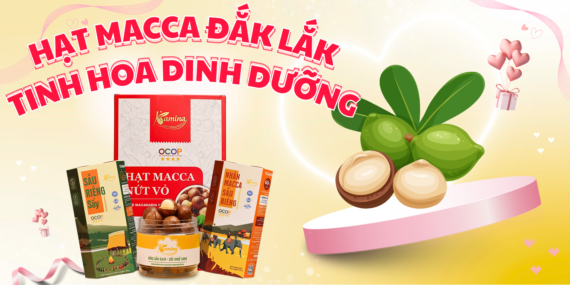 Hạt Macca Đắk Lắk – Tinh Hoa Dinh Dưỡng Từ Cao Nguyên Nắng Gió