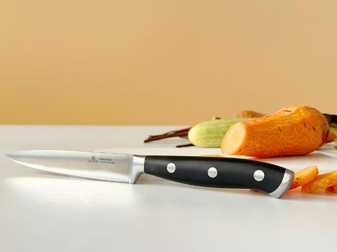 5 Lý Do Mỗi Gia Đình Nên Có Dao Gọt Hoa Quả Benchusch