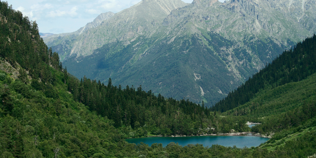 Vietnam is gradually perfecting the legal framework for the “forest carbon” market.