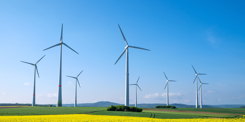 Proposal to establish a national financial fund to support green transformation projects
