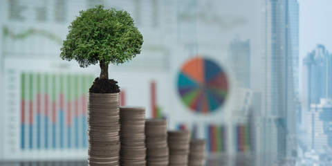 Businesses 'stuck' with the green loan problem