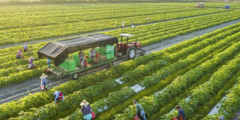 Australia tài trợ 2,1 triệu đô la Úc cho dự án nông nghiệp xanh tại Việt Nam