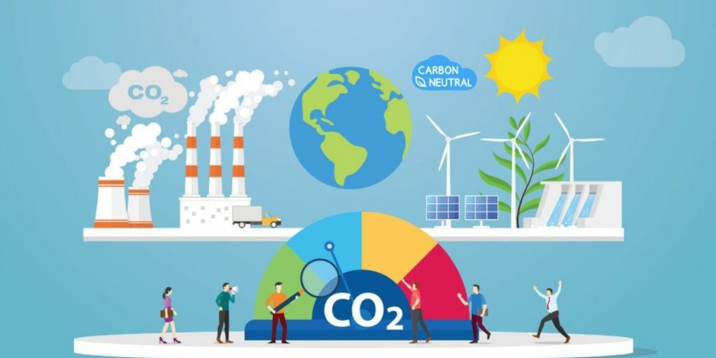 Preparing conditions for operating and developing the carbon market