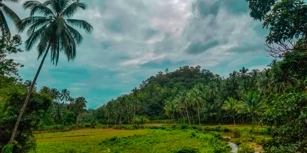 ERPA giúp nâng cao sinh kế và bảo vệ rừng, song nhiều chủ rừng chưa tiếp cận hiệu quả