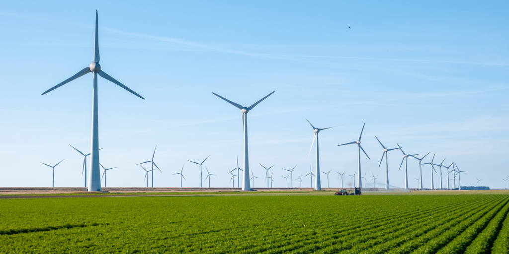 Chuyển đổi xanh: 'Nếu không đạt chuẩn, doanh nghiệp sẽ bị loại khỏi sân chơi'