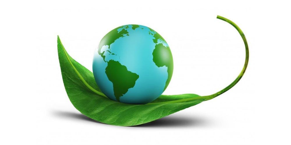 What is Green Economy? Learn the characteristics and principles of green economy