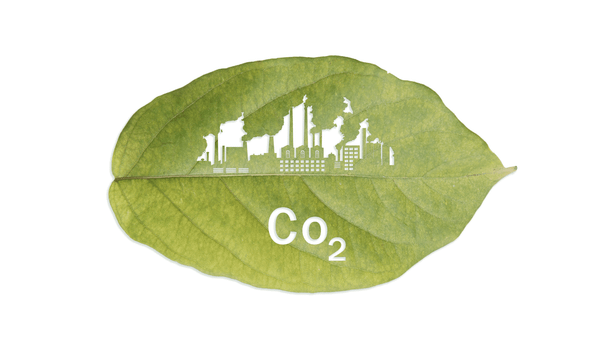 dấu chân carbon
