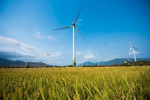 wind farms