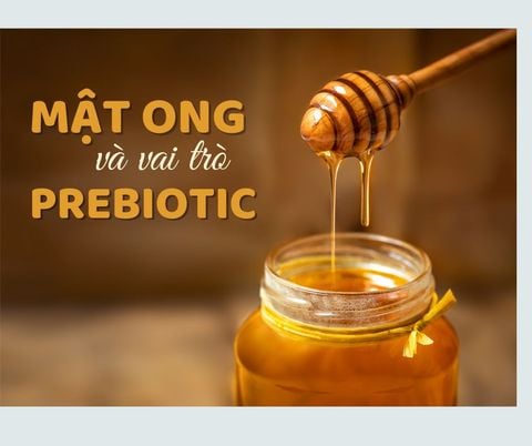 MẬT ONG VÀ VAI TRÒ PREBIOTIC