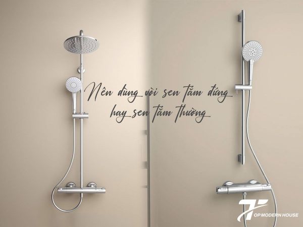Nên dùng vòi sen tắm đứng hay sen tắm thường: Đâu là lựa chọn phù hợp?