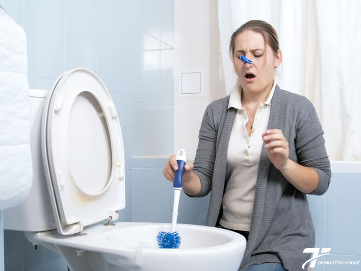 Không vệ sinh thường xuyên khiến cặn bẩn tích tụ và ố vàng bồn cầu.