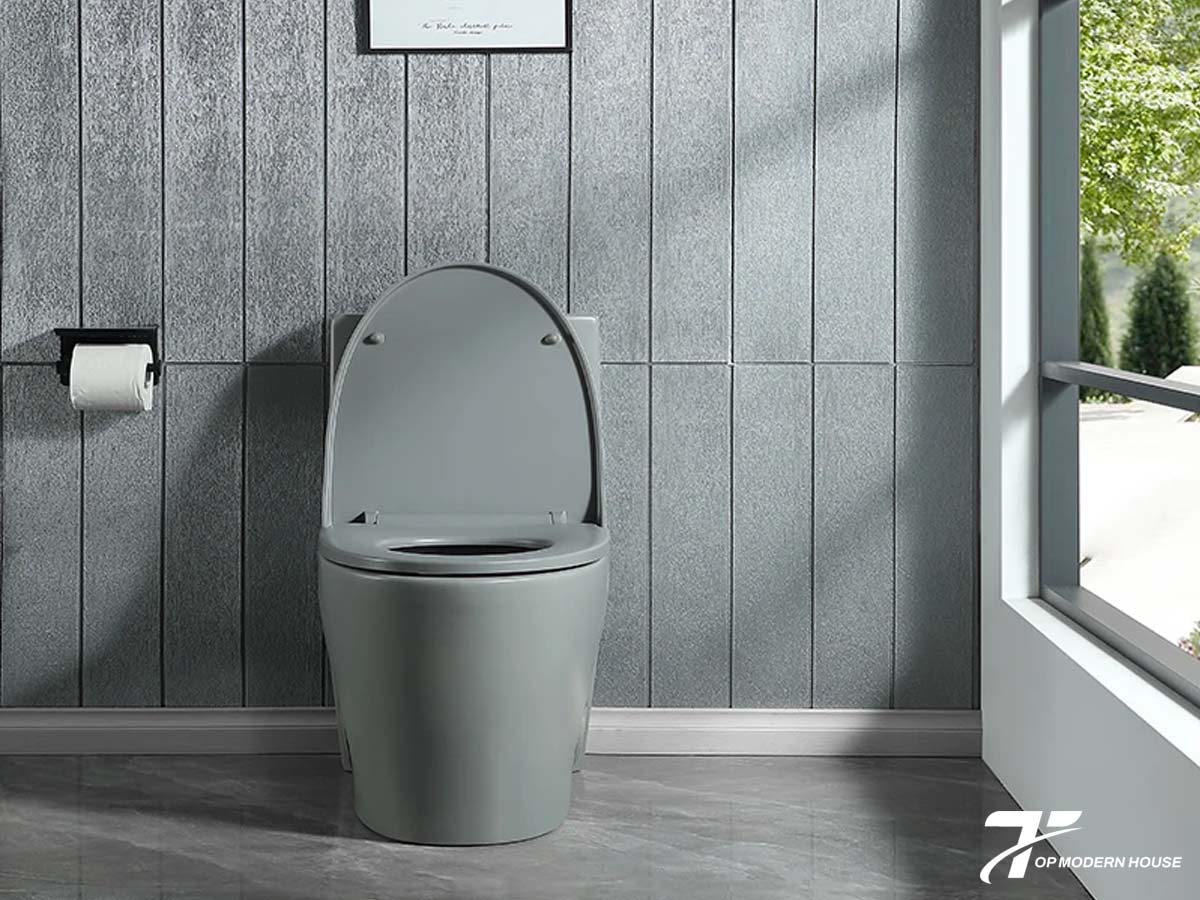 Bồn cầu xám phong cách hiện đại, nguyên khối độc đáo