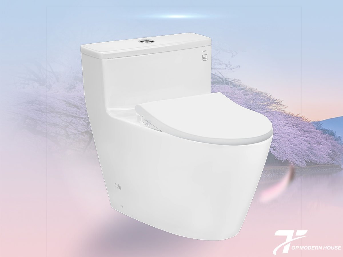 Tìm hiểu chung về bồn cầu nắp rửa cơ ECOWASHER TOTO
